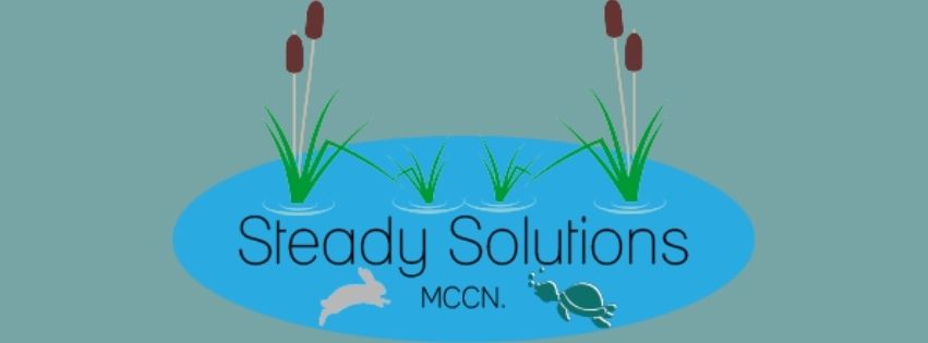 Steady Solutions logo